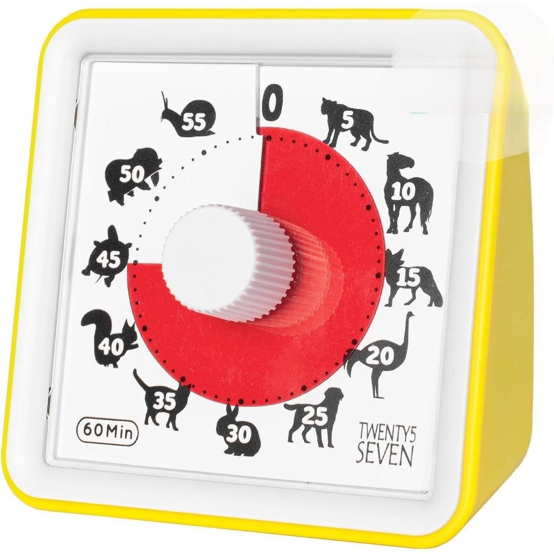 Visual timer