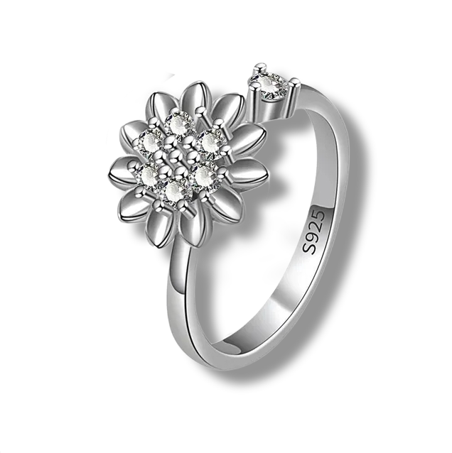 Adjustable Fidget rings