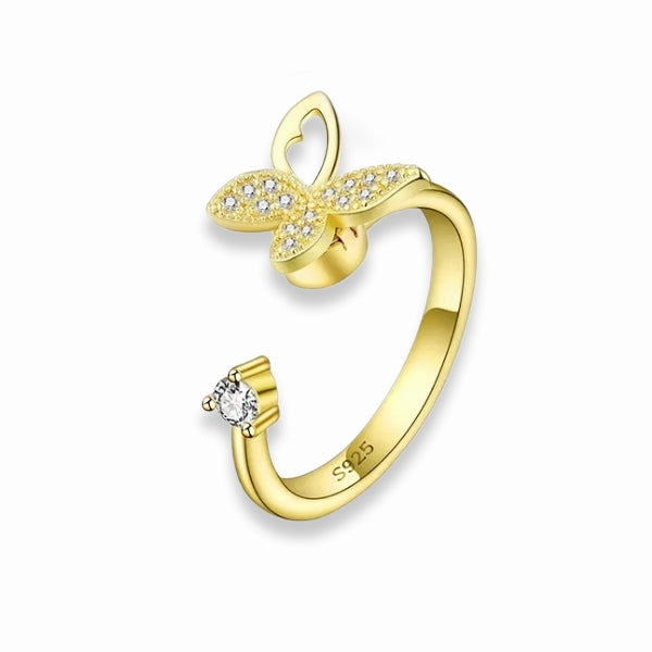 Adjustable Fidget rings
