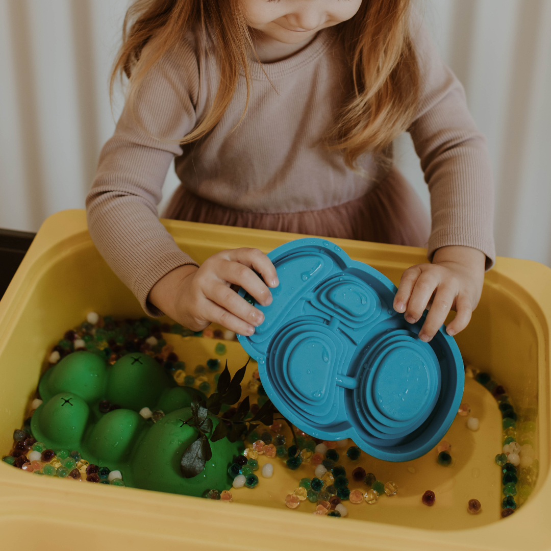 Sensory scene setters