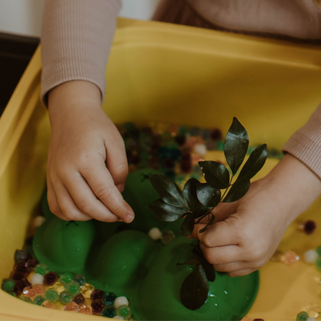 Sensory scene setters