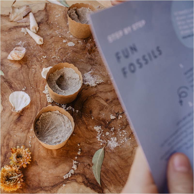 Fun Fossils Kit