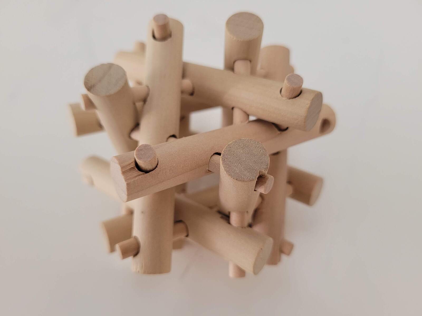 Echidna Brainteaser Puzzle