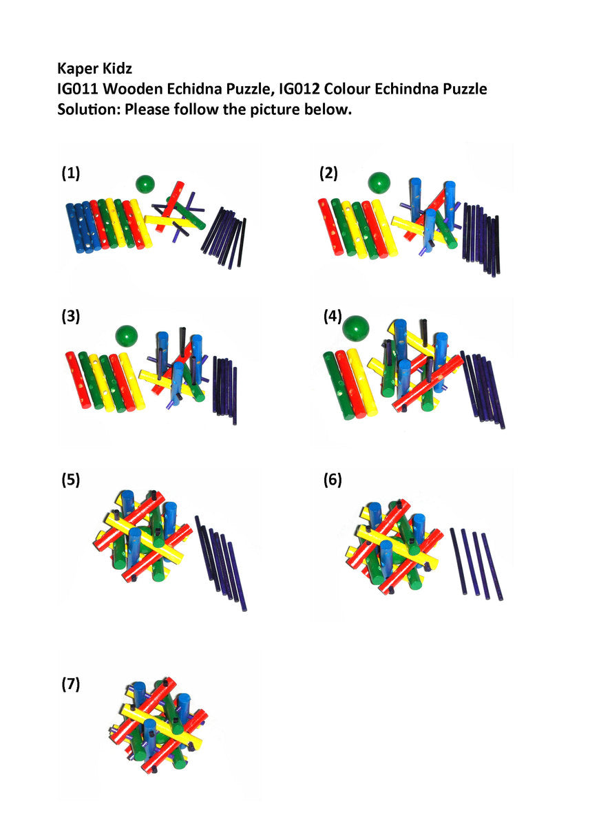 Echidna Brainteaser Puzzle
