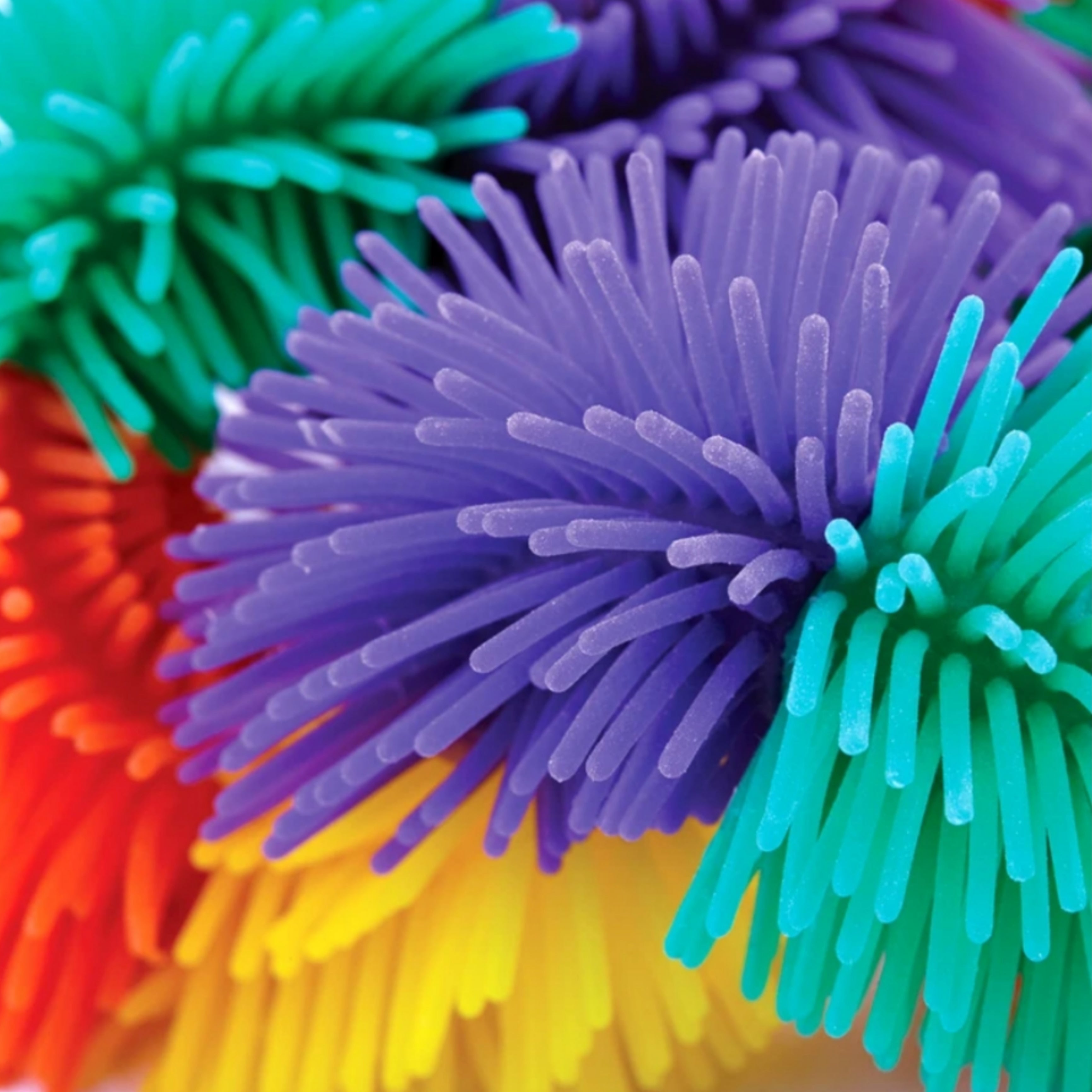 Tangle hairy