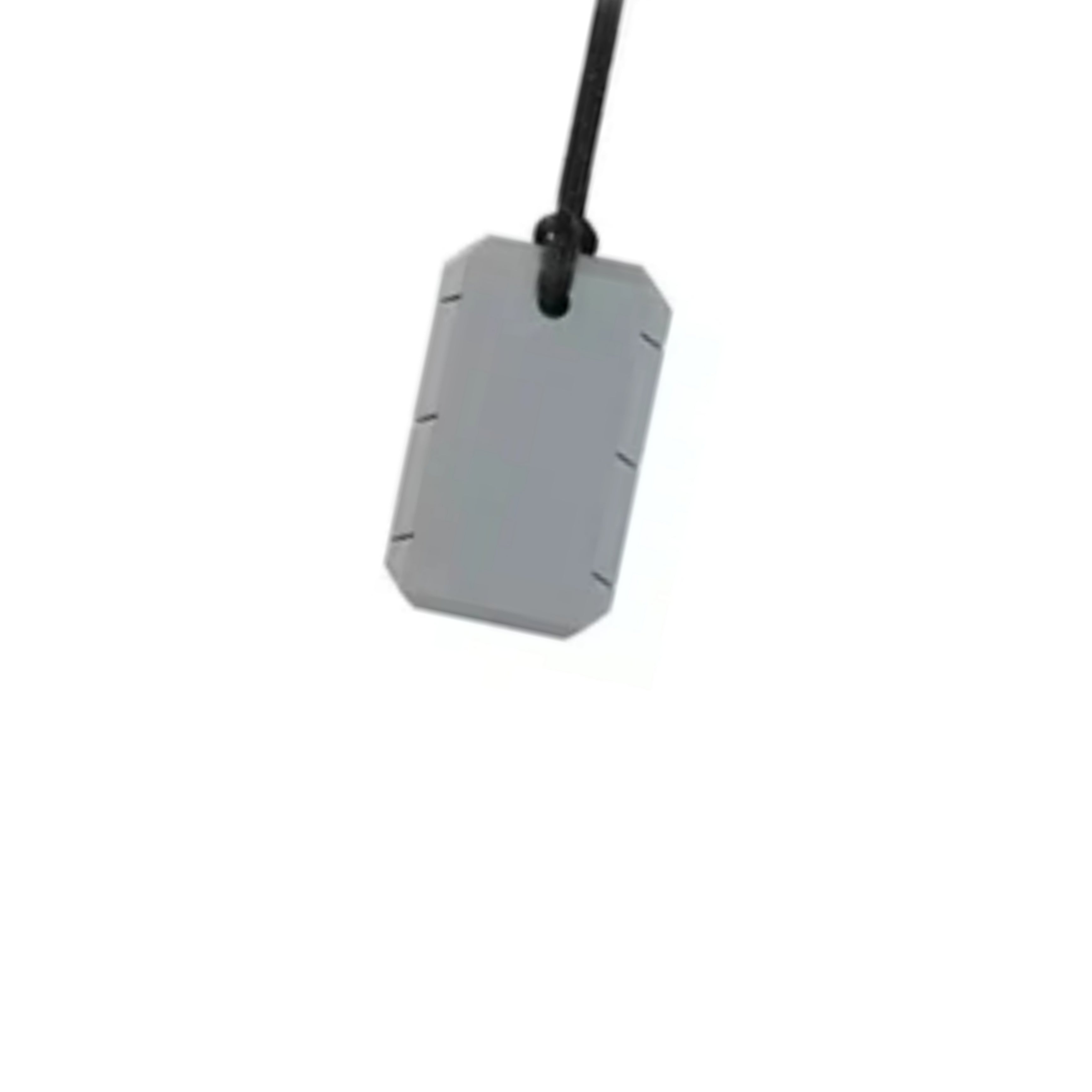 Dog tag chewable necklace