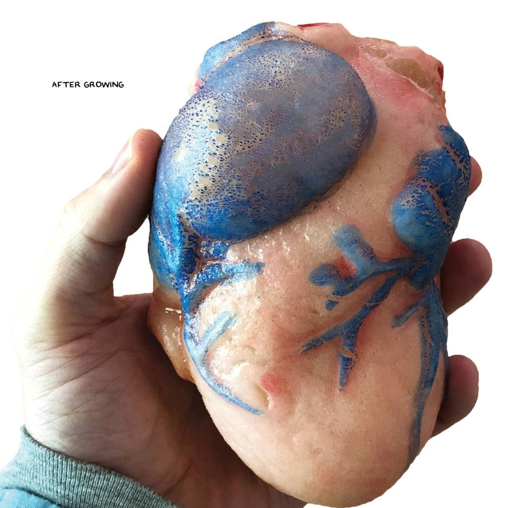 Extra Large Swell Polymer Heart