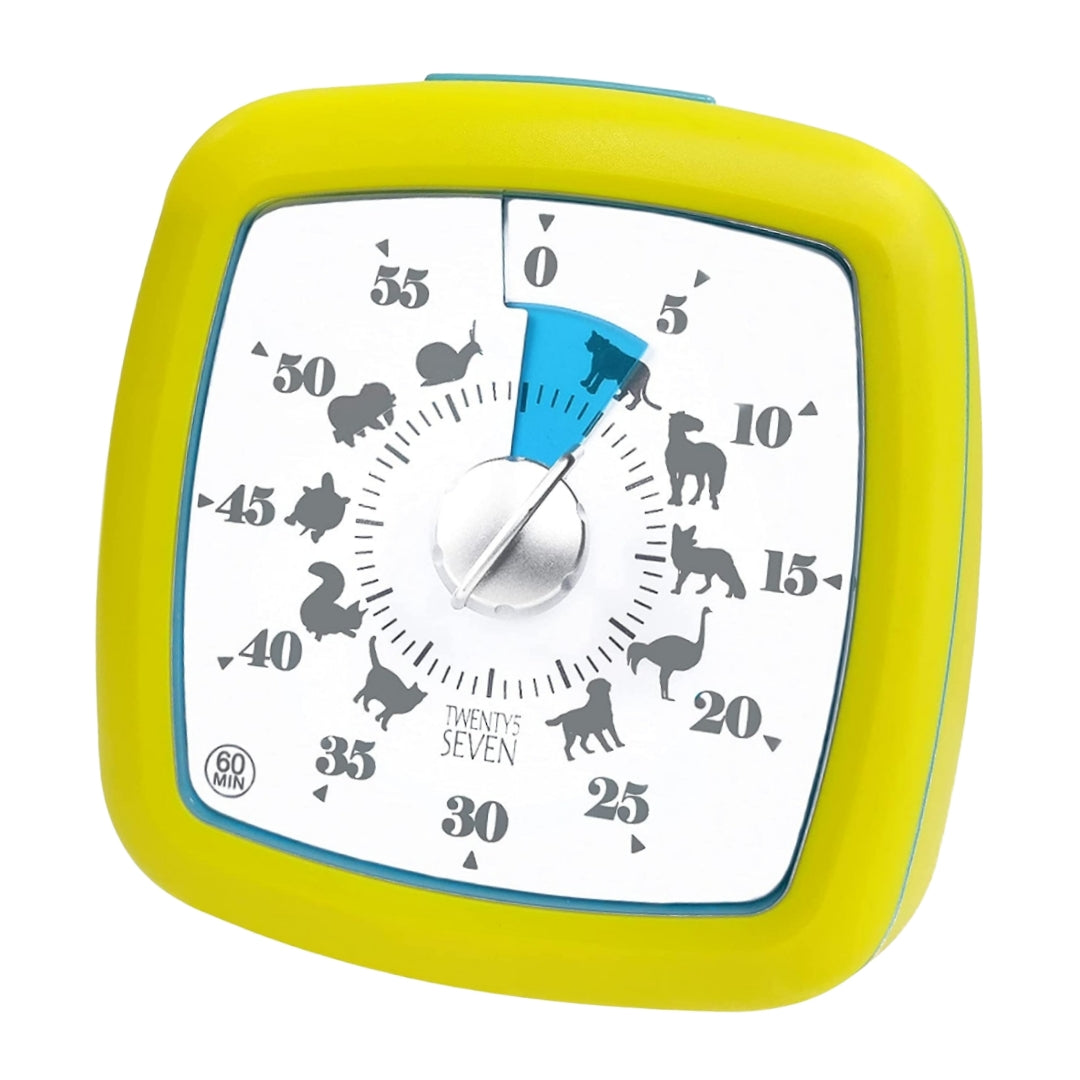 Visual timer