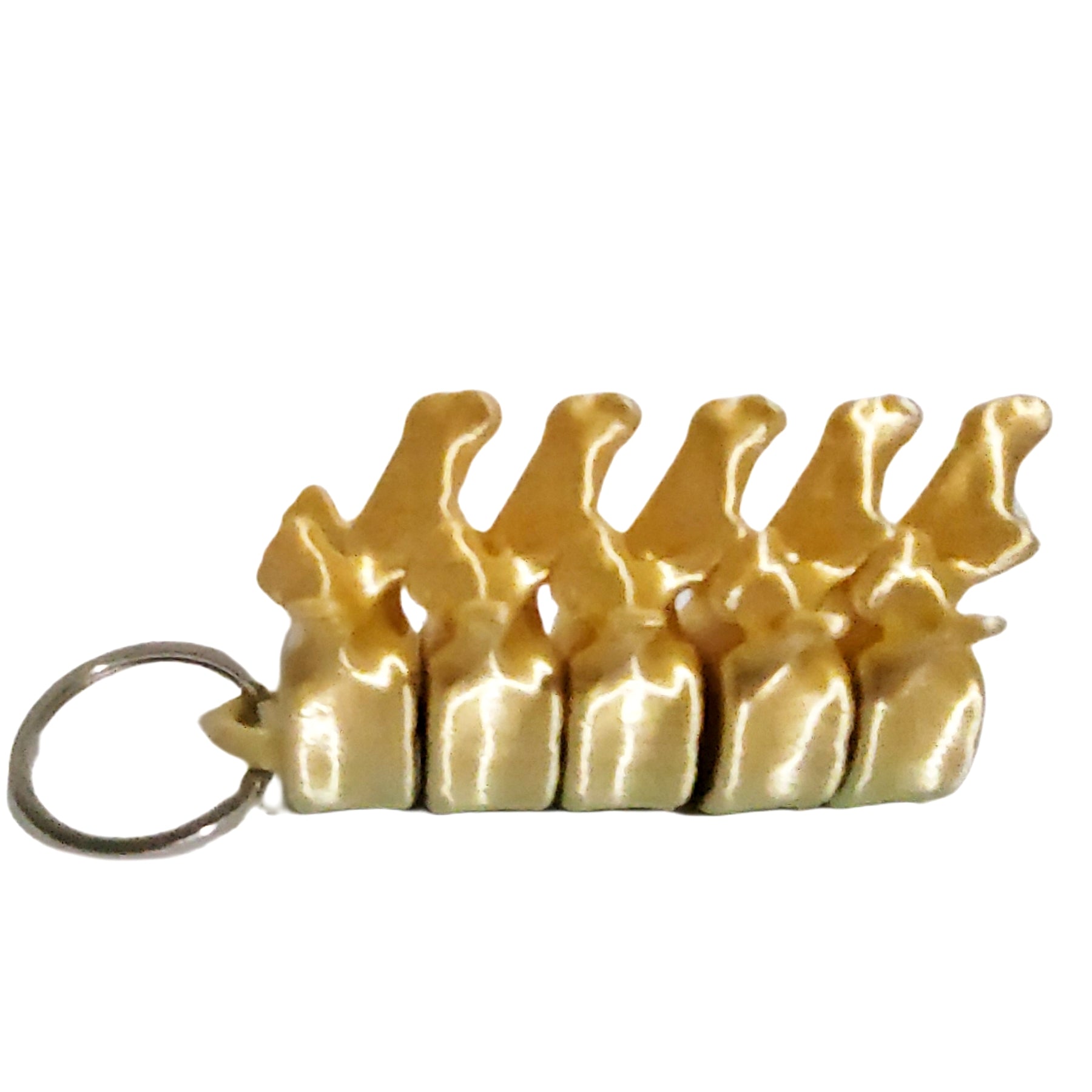 I've got your back fidget keychain