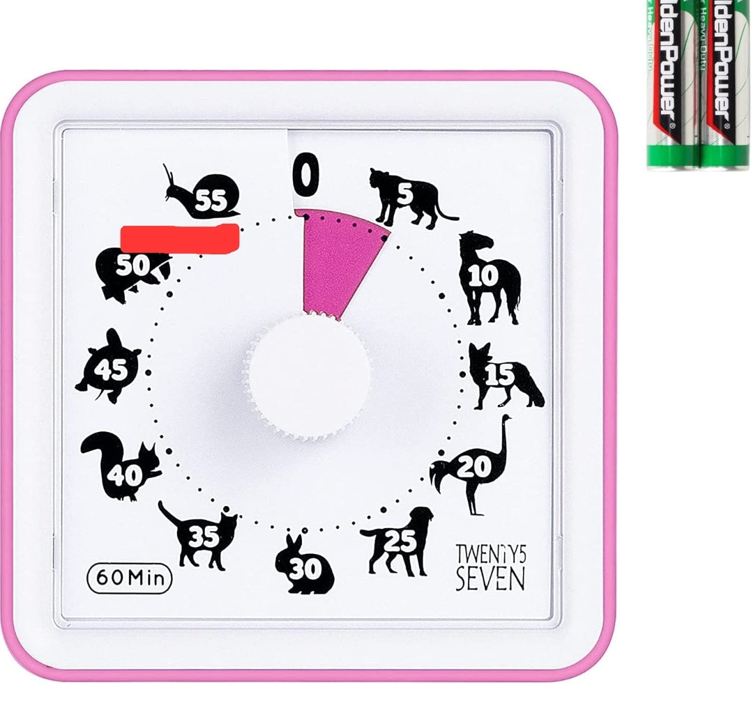 Visual timer