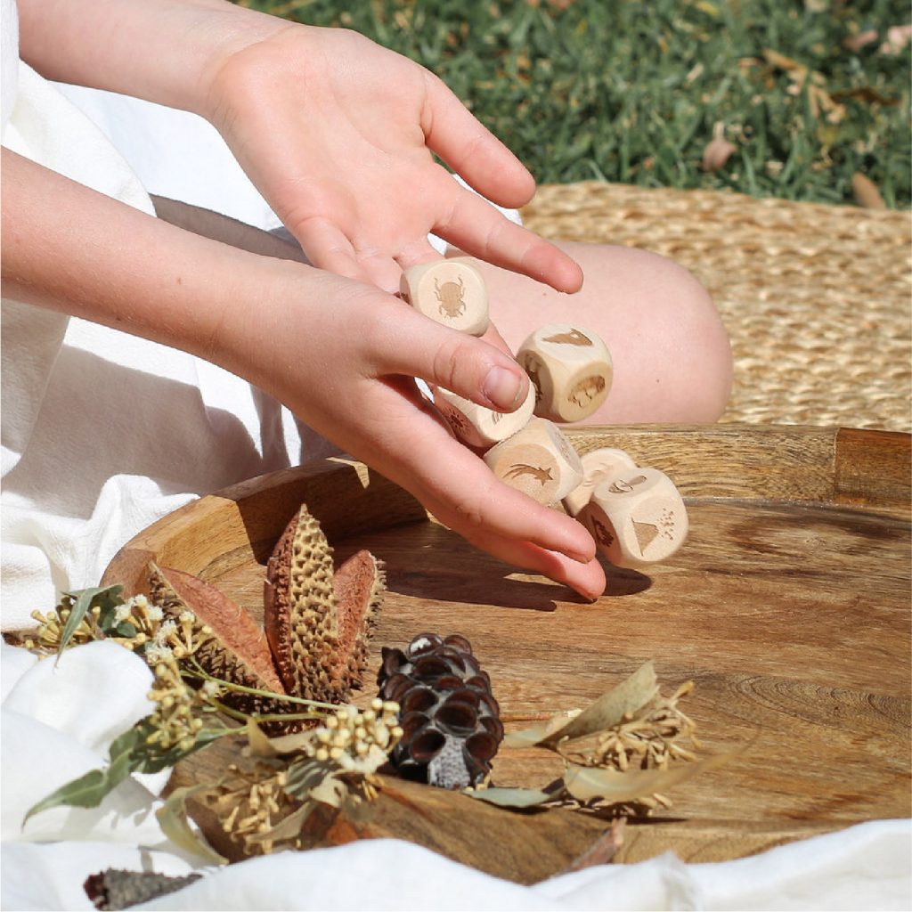 Nature Story Cubes