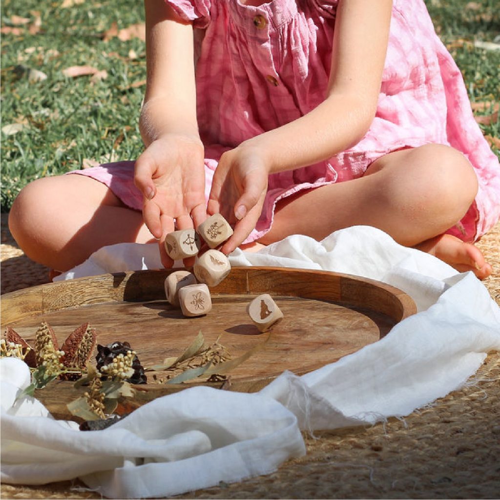 Nature Story Cubes