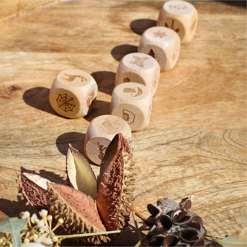 Nature Story Cubes